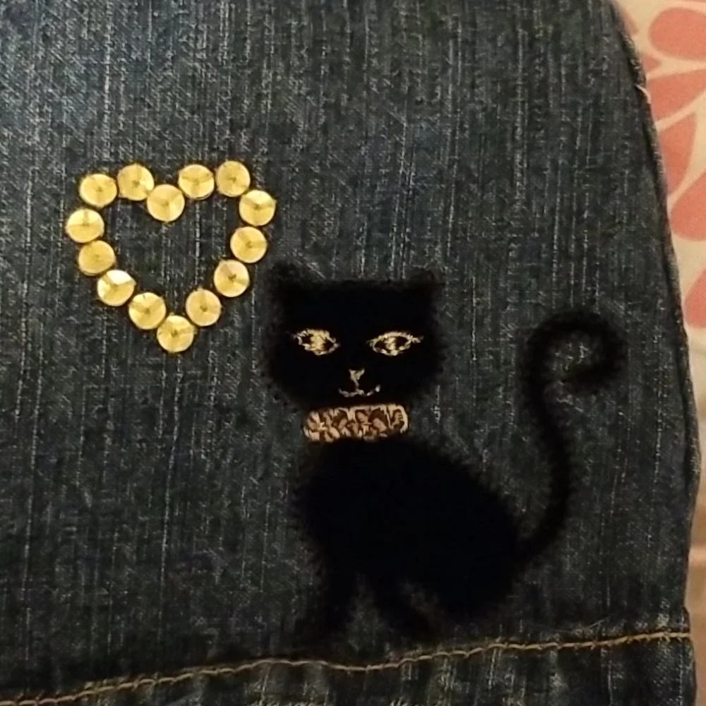 Gymboree Cat Jean Skort